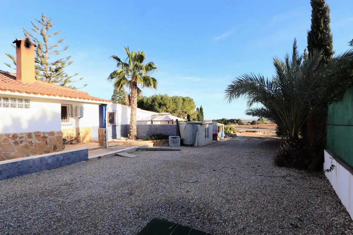 Vista exterior de Casa o chalet en venta en Torre-Pacheco con Aire acondicionado, Jardín privado y Terraza
