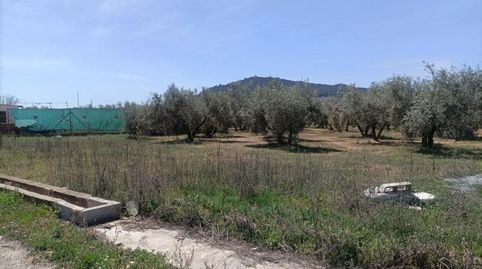 Foto 2 de Finca rústica en venta en Polígono la Zanja, Albolote, Granada