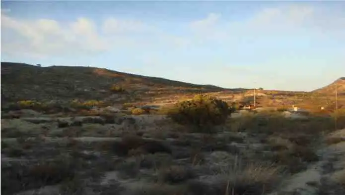 Terreno rustico in vendita a Pj El Estrecho, imagen 8