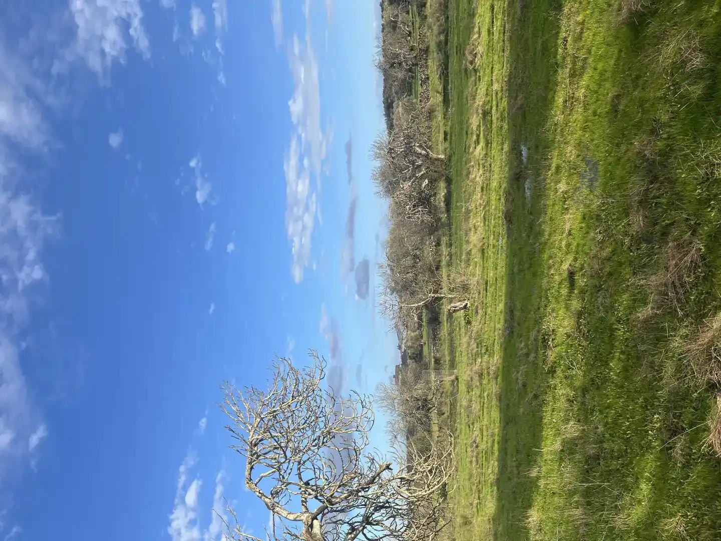 Finca rústica en venta en Segura de León, Badajoz