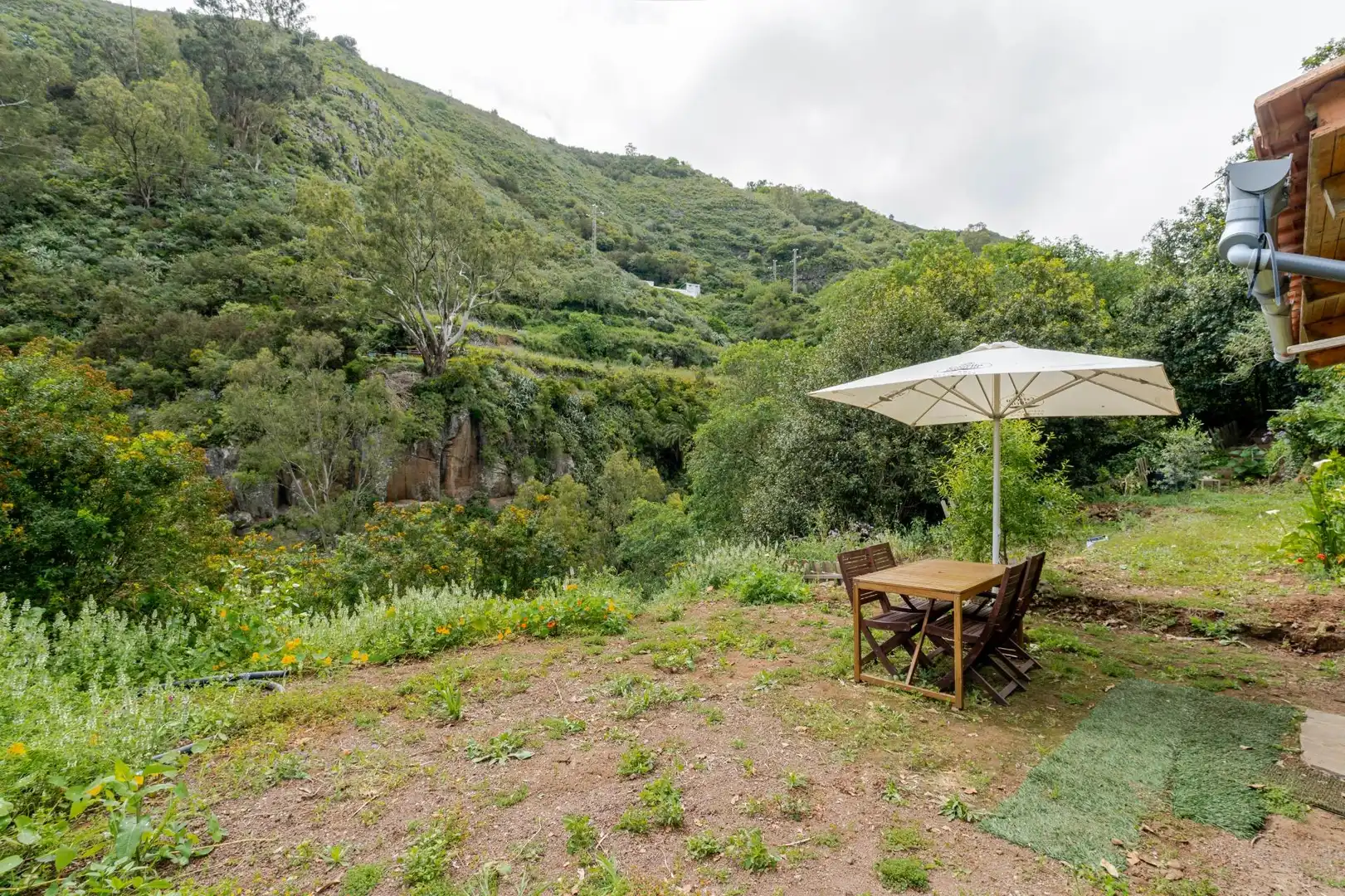 Garden of Land for sale in Teror