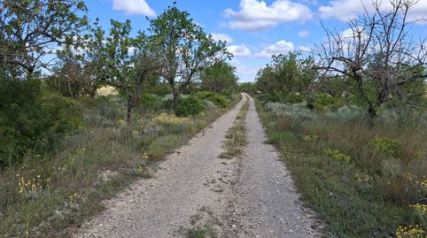 Foto 3 de Finca rústica en venta en Disseminat, Vilalba dels Arcs, Tarragona