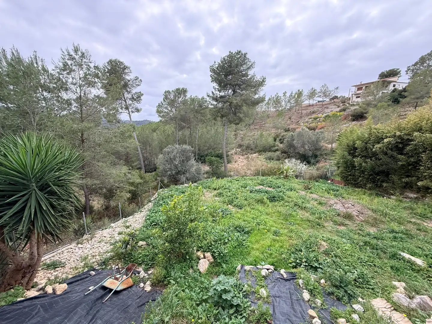 Detached house with garden for sale in Olivella, imagen 42