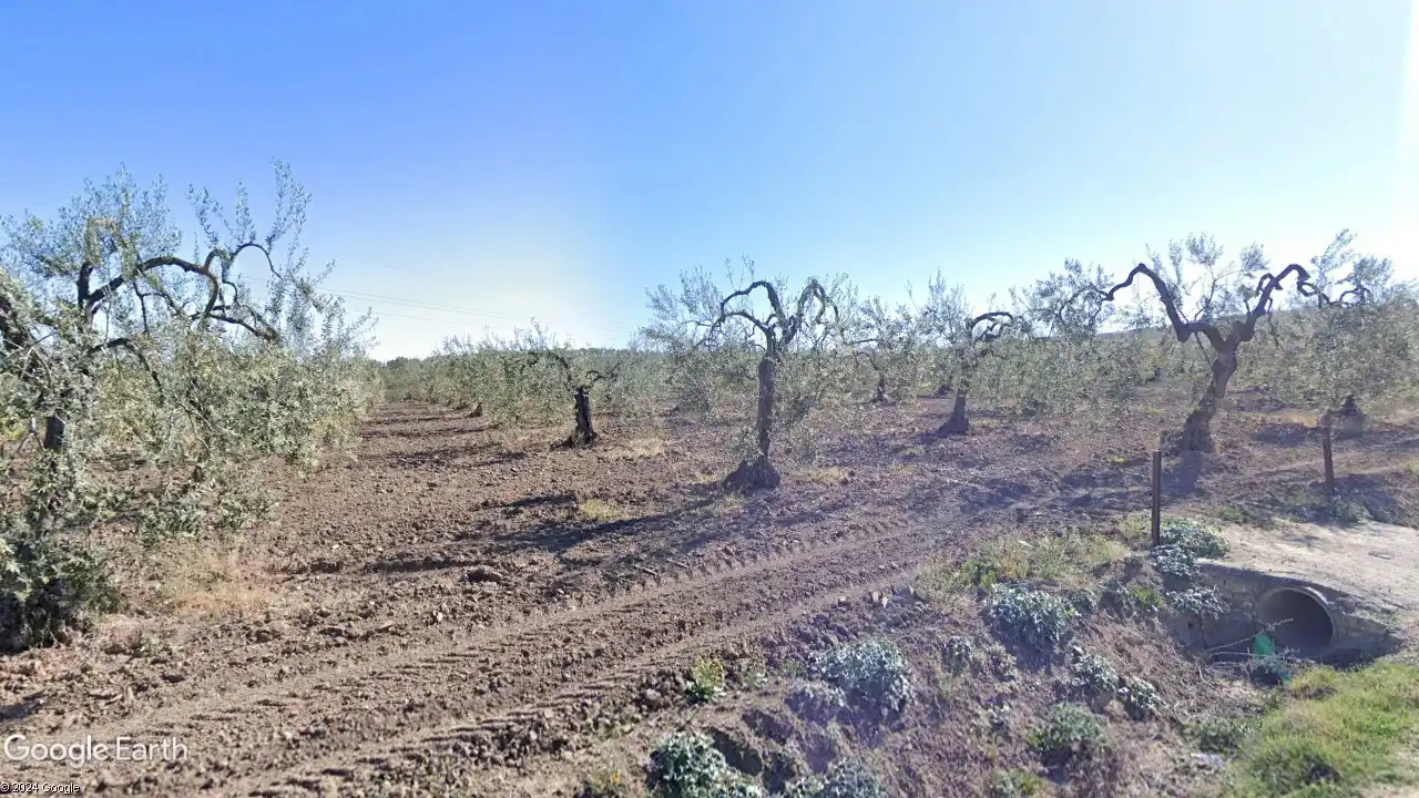 Rustikales Grundstück zum Verkauf in Albaida del Aljarafe, imagen 3