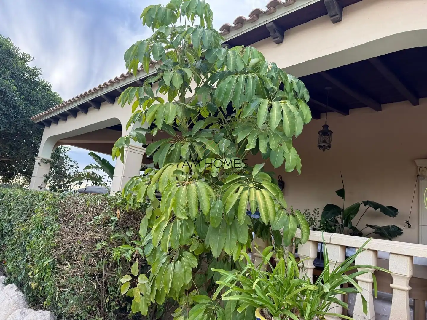 Villa avec piscine à vendre à Valverde, imagen 37