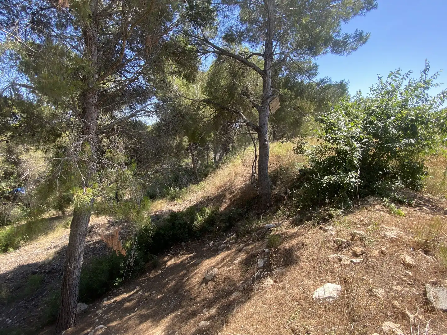 Residential land for sale in Urbanitzacions de Llevant, imagen 25
