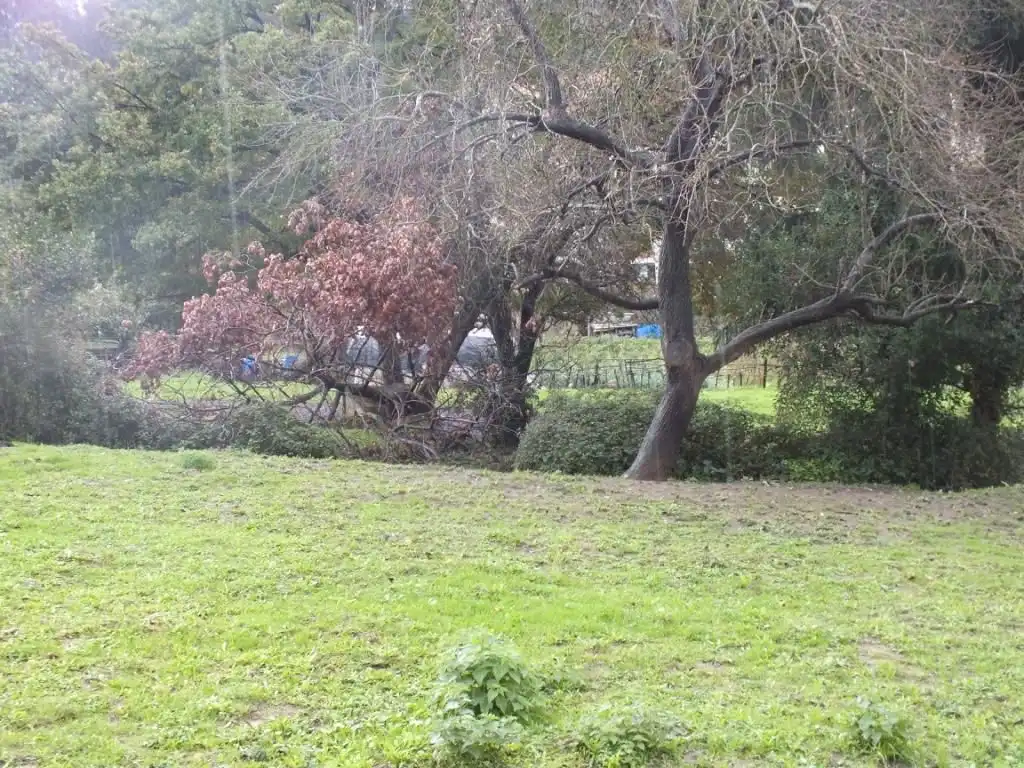 Residential for sale in Alonsotegi
