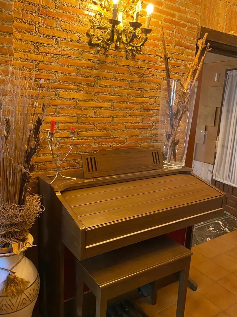 Vista exterior de Casa o chalet en venta en Murcia con Aire acondicionado, Jardín privado y Terraza