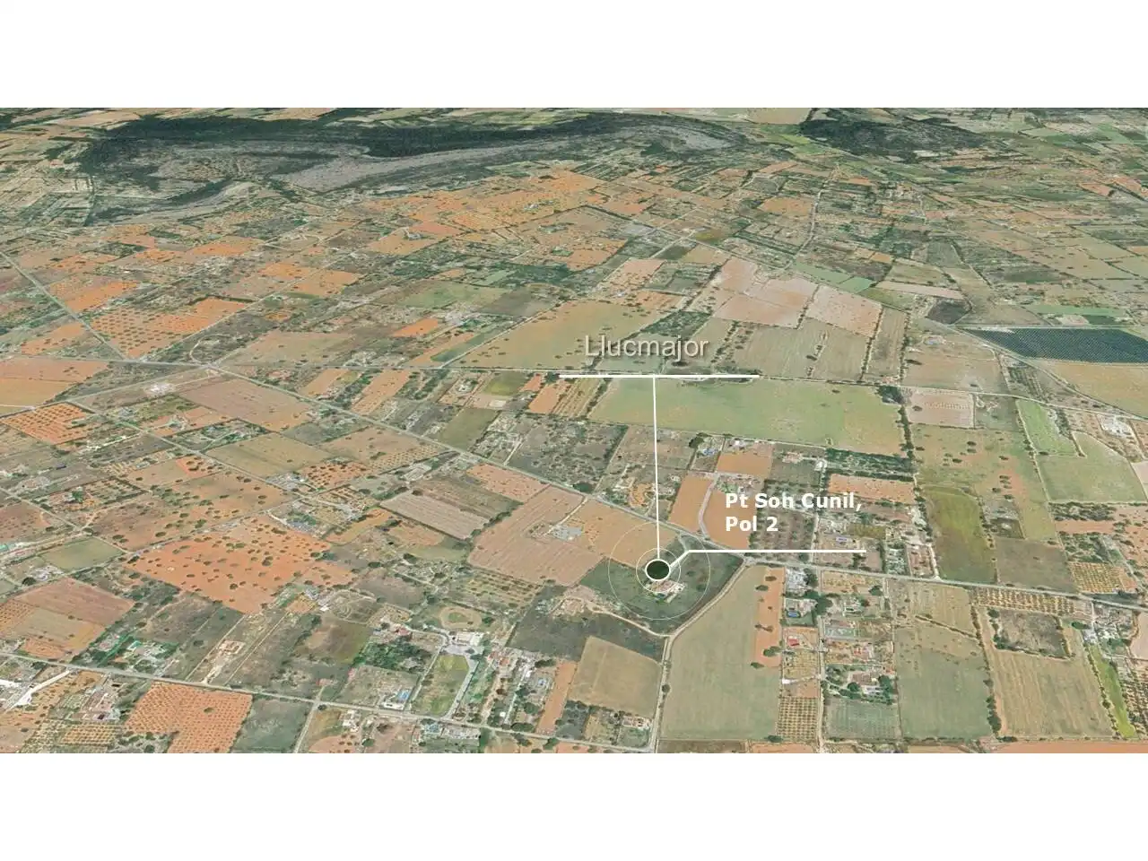 Terreny rústic en venda a Llucmajor pueblo, imagen 2