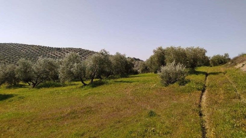 Residential for sale in Torredonjimeno