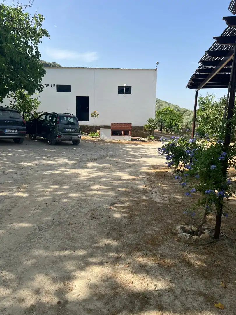 Terreno rustico in vendita a Cabra, imagen 7