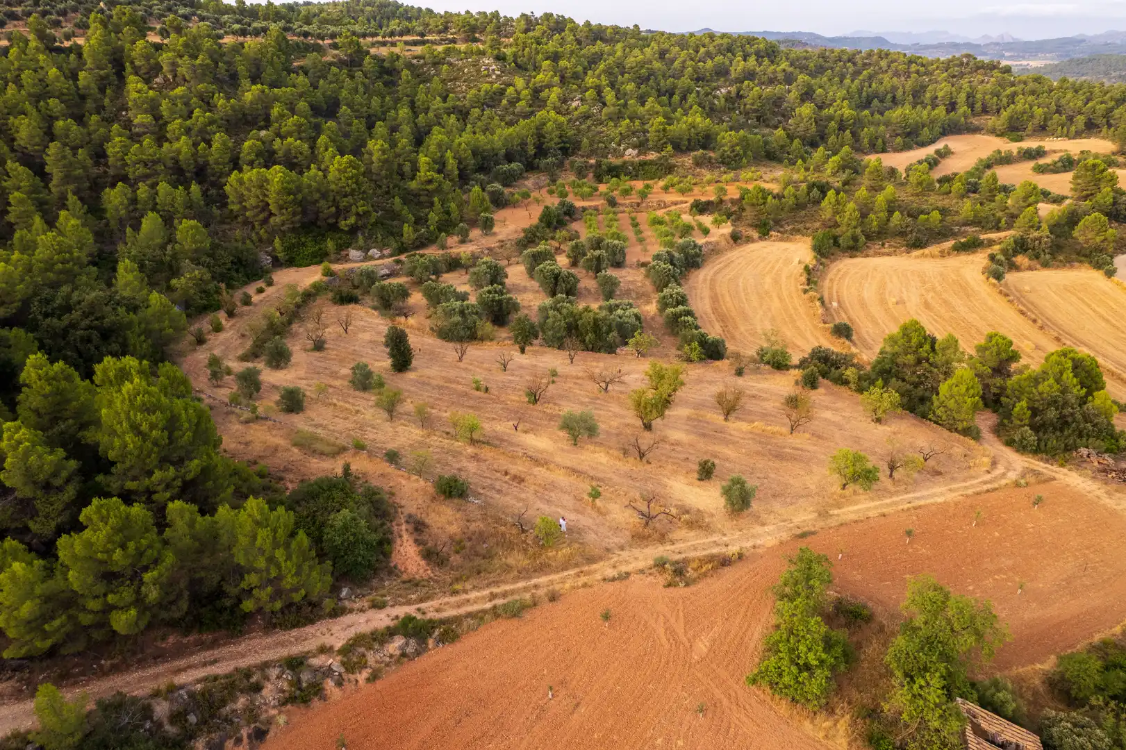 Terreni e lotti in vendita a Lledó, imagen 20