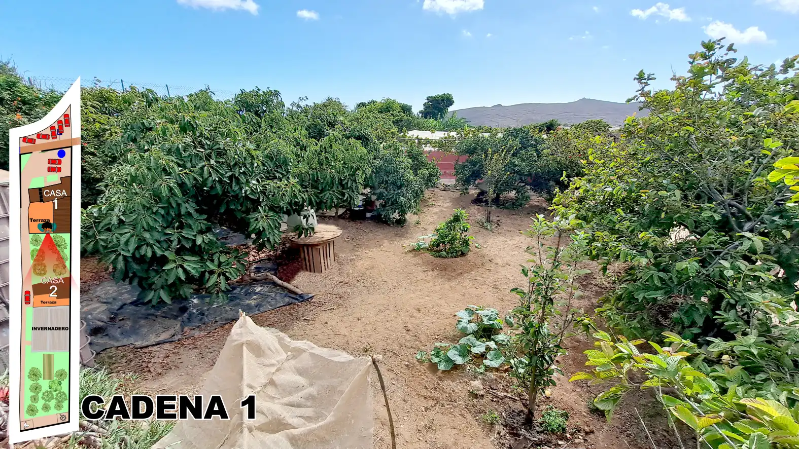 Finca rústica en venta en Ingenio con Terraza, Horno y TV