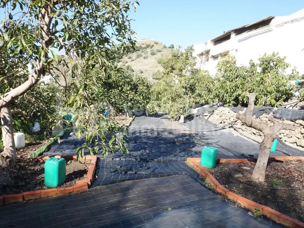 Casa o chalet en venta en Canillas de Aceituno