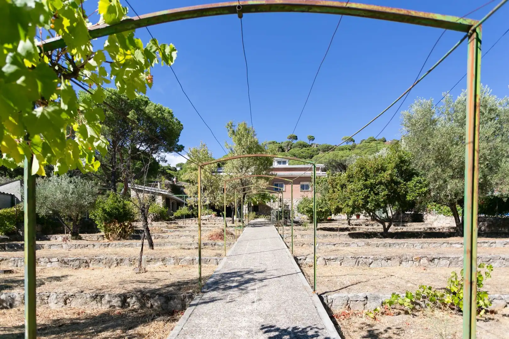 Jardí de Casa o xalet en venda en Valdemaqueda amb Jardí privat i Traster