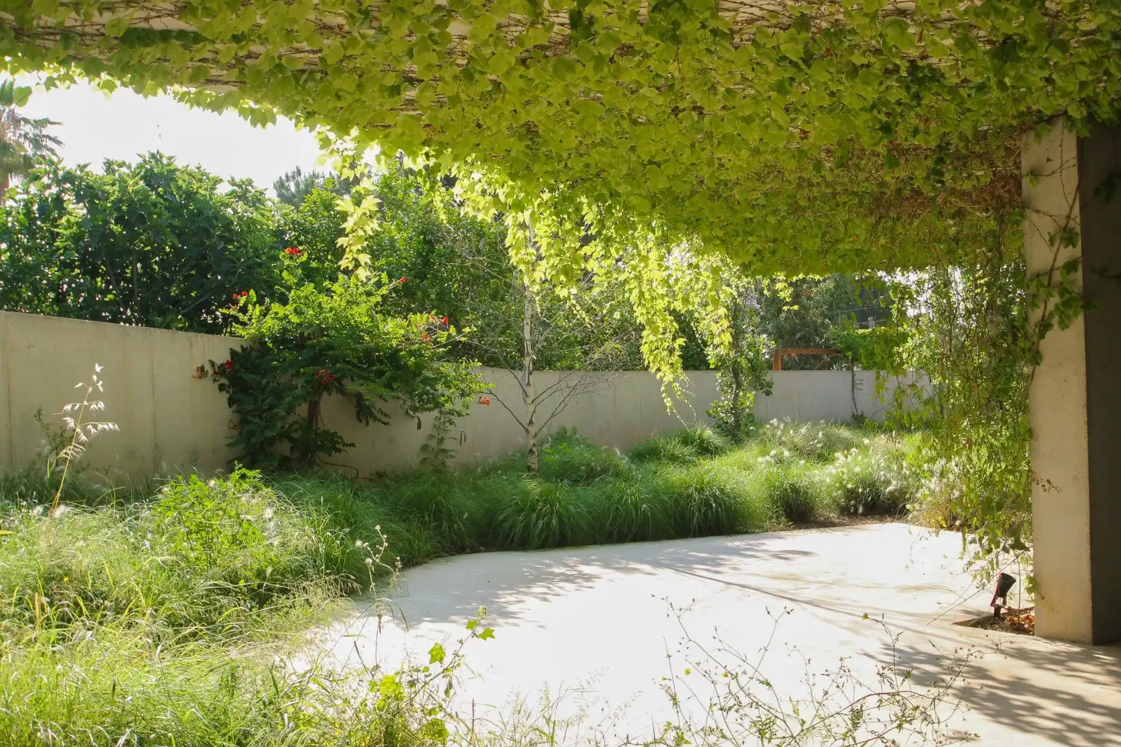 Garden of Houses for sale in San Vicente del Raspeig / Sant Vicent del Raspeig  with Private garden, Storage room and Swimming Pool