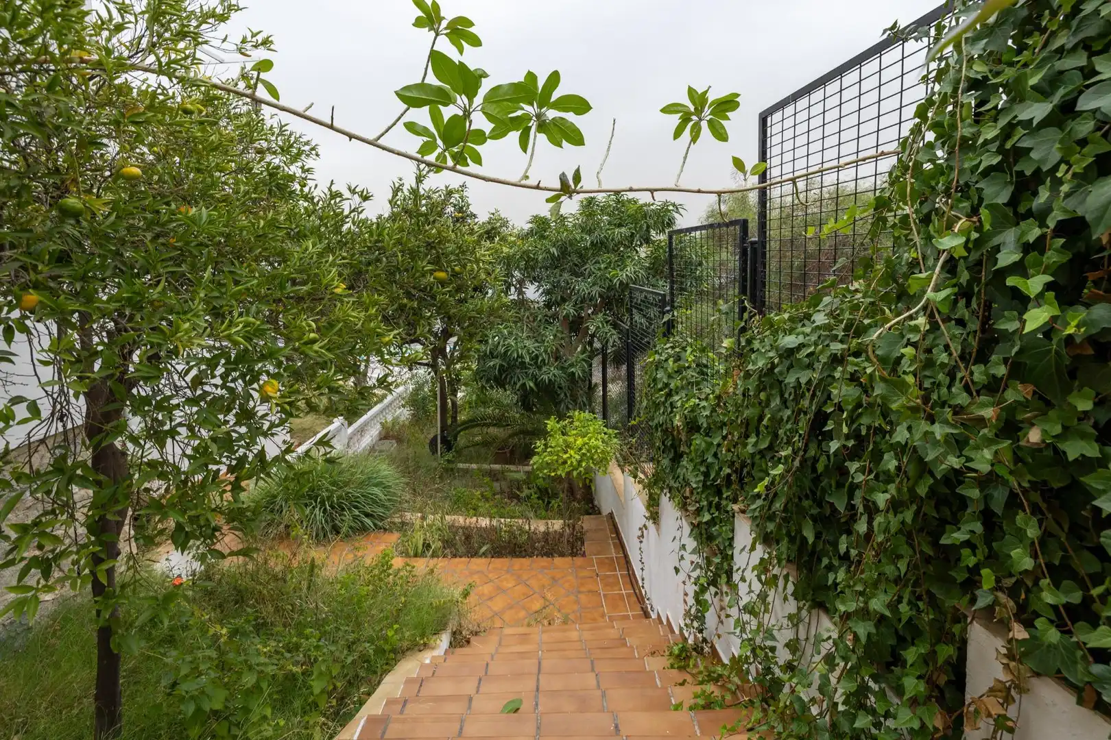 Casa con jardín en venta en Monte los Almendros - El Pargo - Costa Aguilera, imagen 74