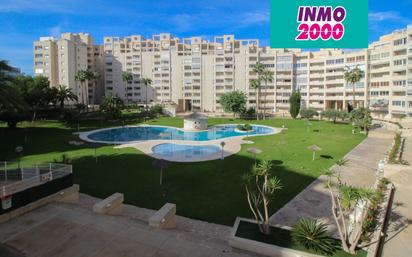 Swimming pool of Apartment for sale in El Campello  with Terrace and Swimming Pool