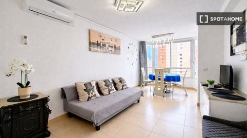 Photo 2 of Room in Levante Alto, Benidorm