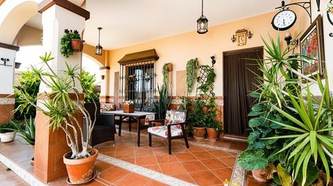 Foto 3 de Casa o chalet en venta en Avenida de la Marina, Las Palmeras - Dehesilla, Sanlúcar de Barrameda