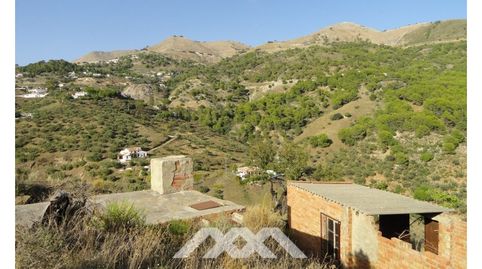 Una Finca grande con cortijo, imatge 5