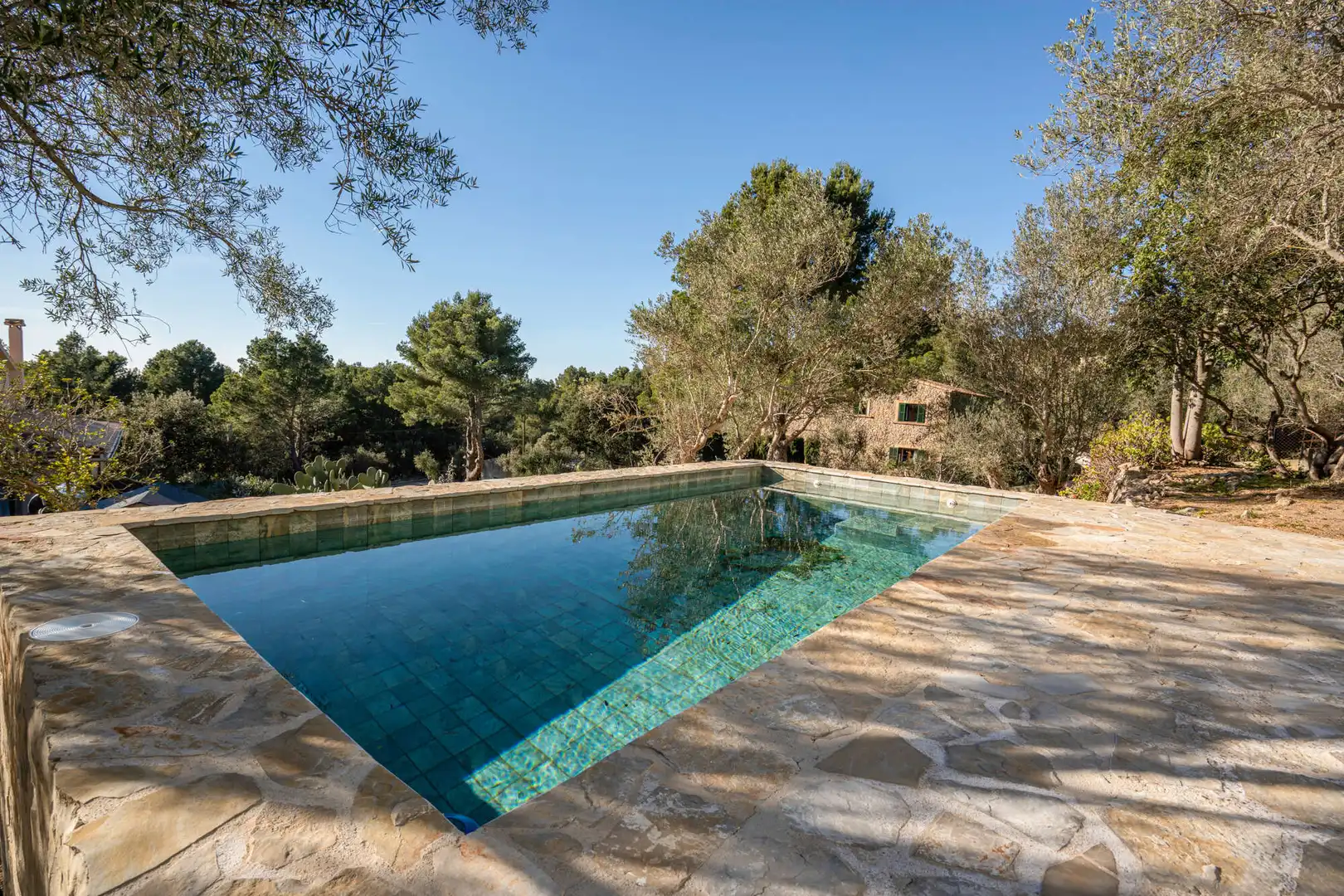 Swimming pool of Houses for sale in Valldemossa  with Terrace and Balcony