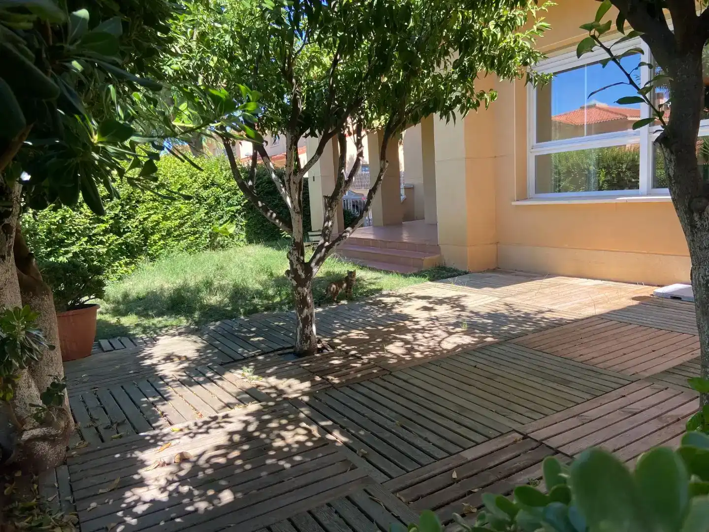 Terrassa de Casa o xalet en venda en Vinyols i els Arcs