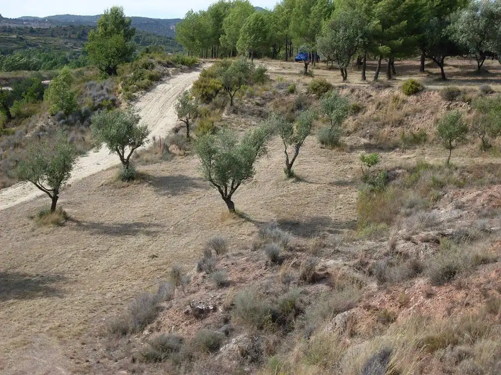 Rustikales Grundstück zum Verkauf in Diseminado P003 357, imagen 17