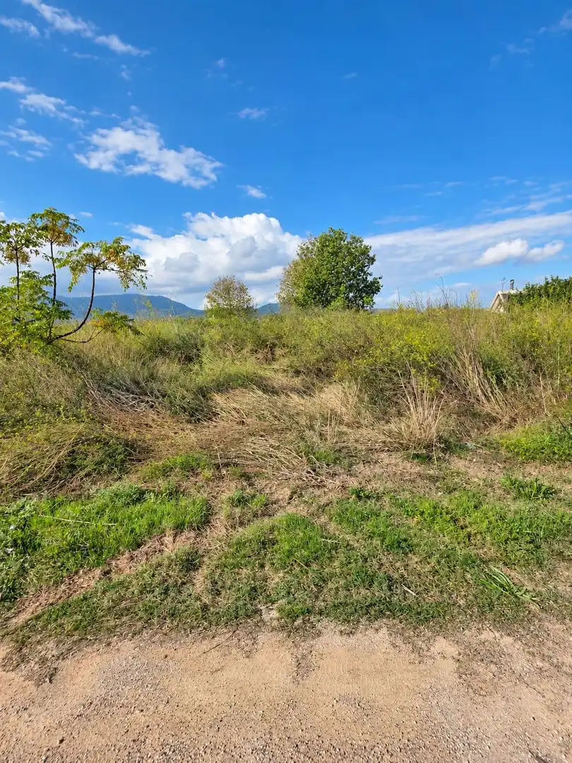 Rural land for sale in Polígono Sèquia de la Figuerola Dreta, imagen 21
