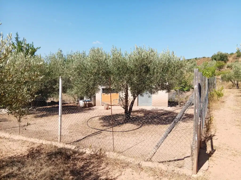 Country house zum Verkauf in Calles mit Privatgarten, Terrasse und Abstellraum