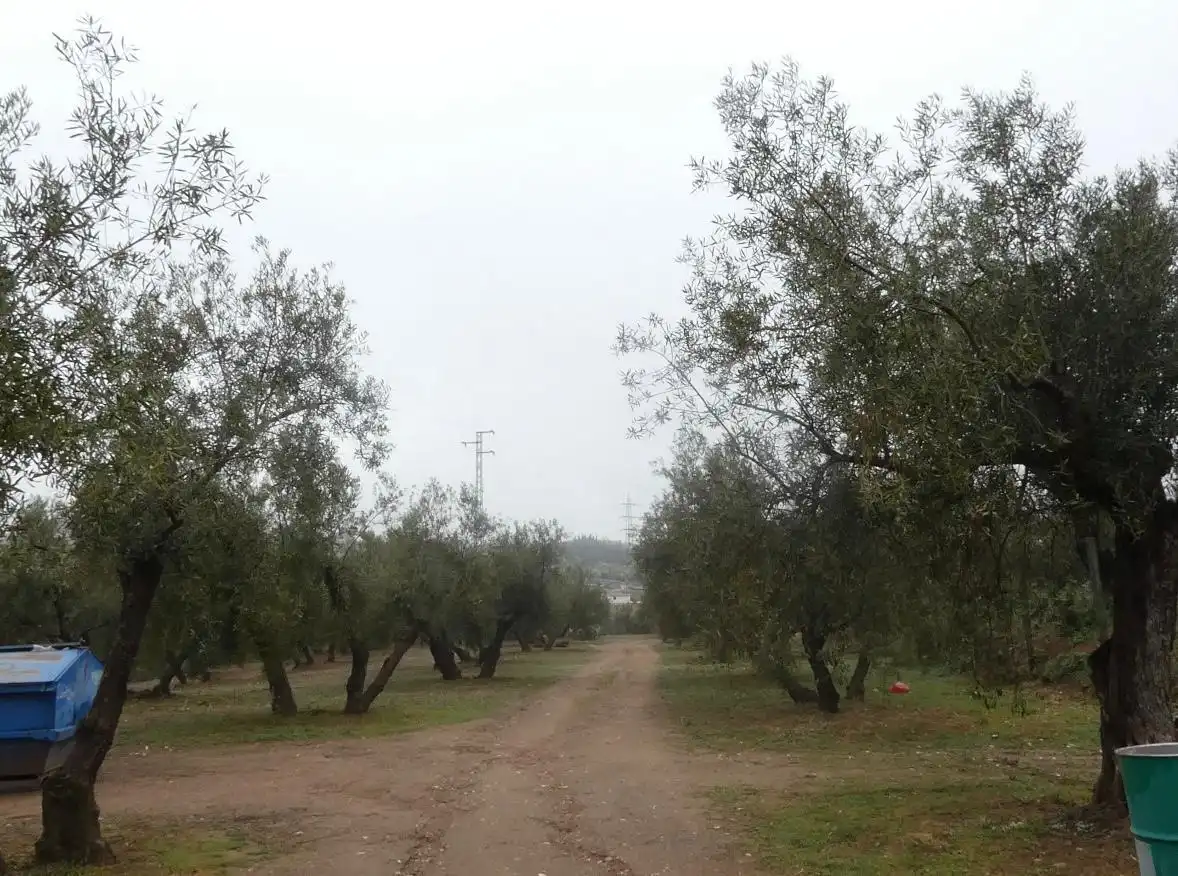 Terreni e lotti in vendita a Peligros, imagen 11