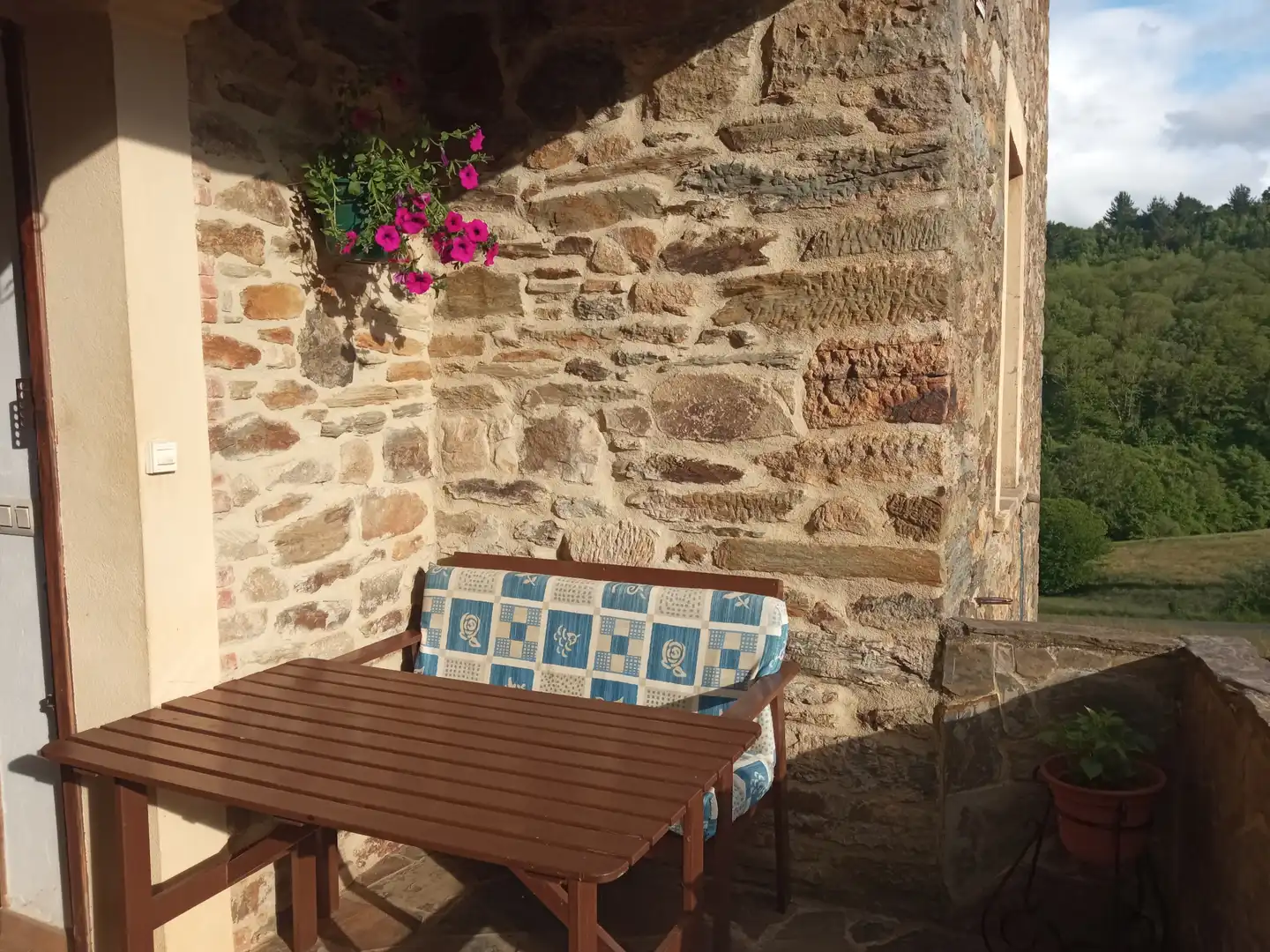 Terraza de Finca rústica en venta en Tineo con Jardín privado, Parquet y Terraza