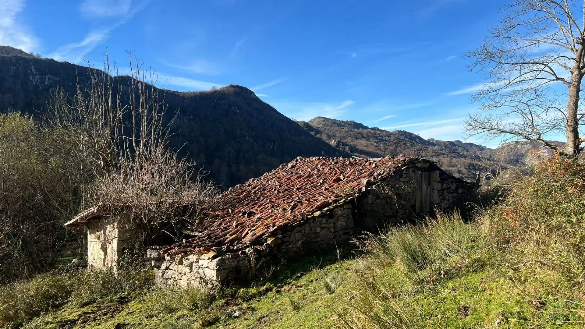 Terreno rustico in vendita a Cangas de Onís, imagen 14
