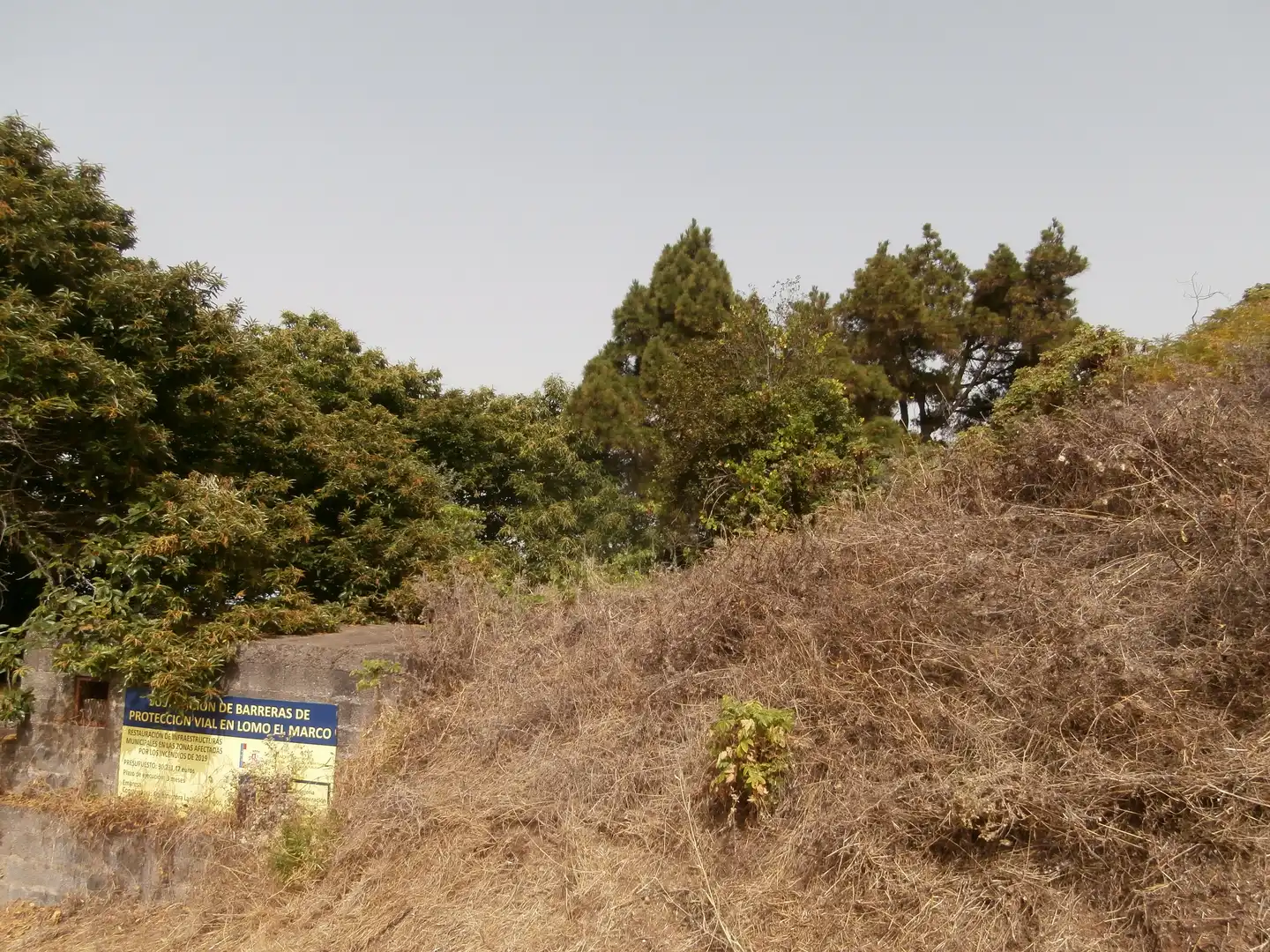 Finca rústica en venta en Camino Lomo el Marco, 41, Moya (Las Palmas)