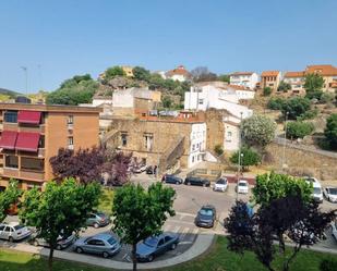 Vista exterior de Pis en venda en Plasencia amb Aire condicionat i Jardí privat