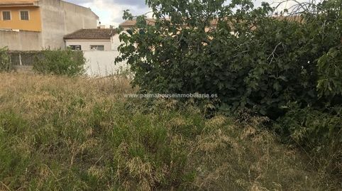 MEGA SOLAR URBANIZABLE CON VISTAS EN MURO, immagine 2