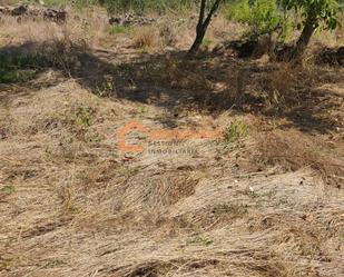 Residencial en venda en San Cristovo de Cea