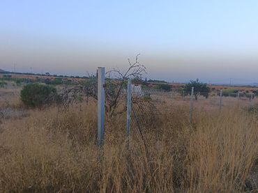 Terreno rustico in vendita a Lugar la Perinera 1