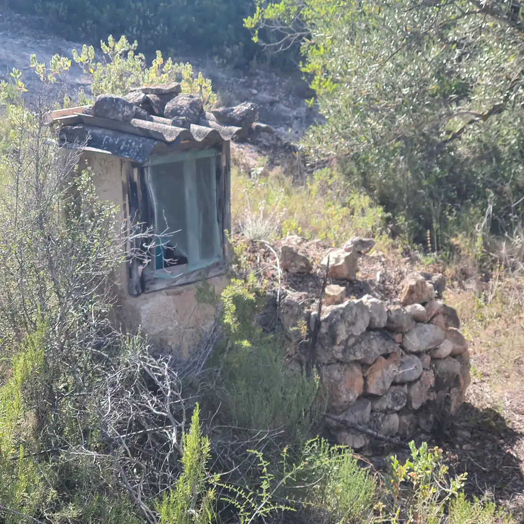 Terrain rustique à vendre à Benifallet, imagen 14