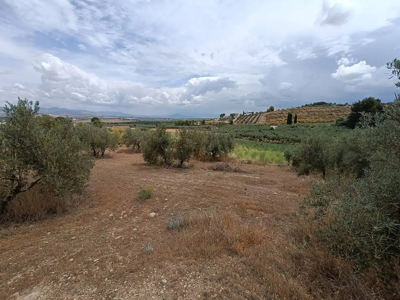 Rural land for sale in Moraleda de Zafayona, imagen 10