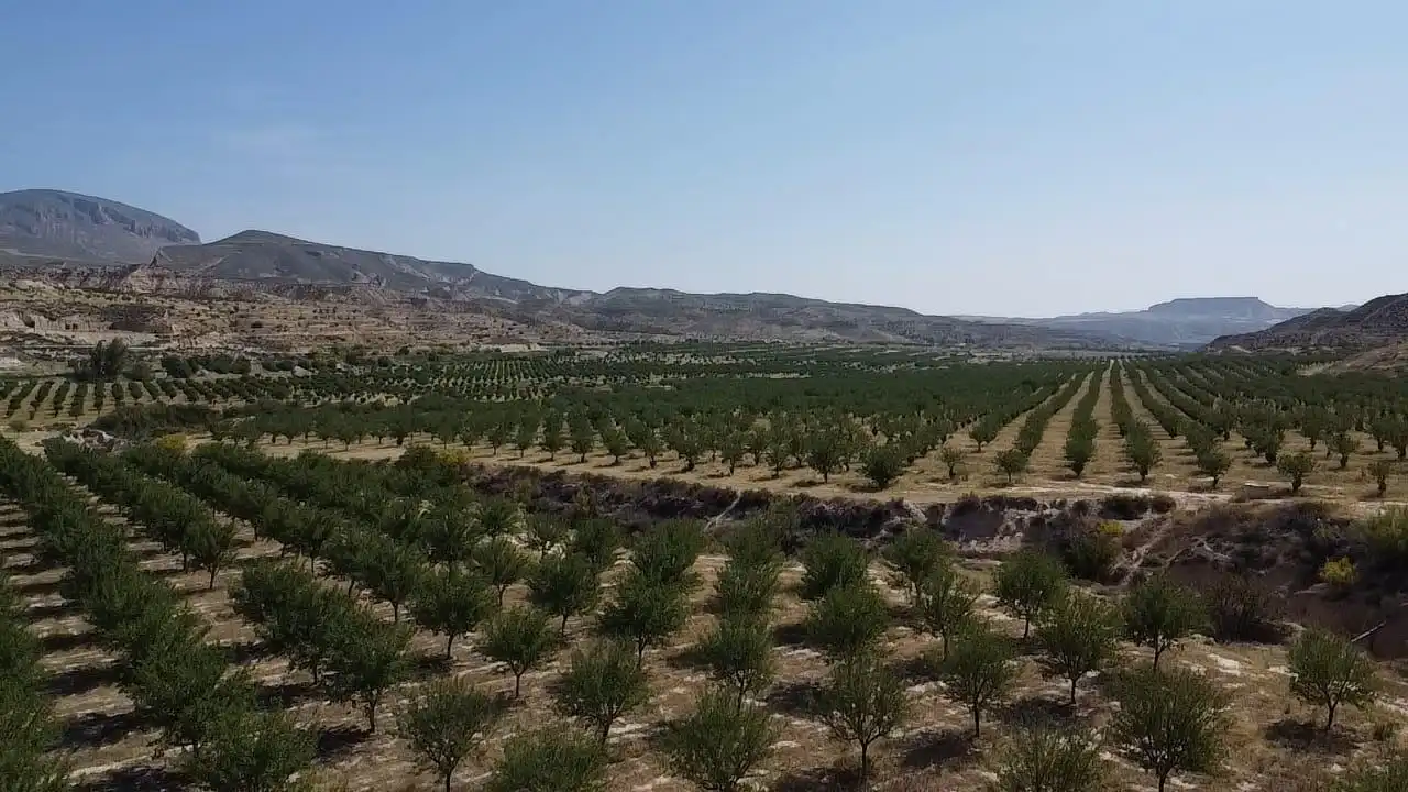 Terreno en venta en Huélago