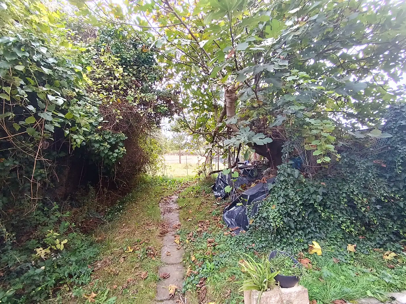 Casa rústica con jardín en venta en Plentzia, imagen 20