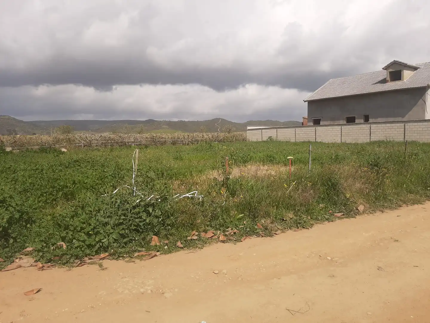Terreny rústic en venda a Villaverde del Río