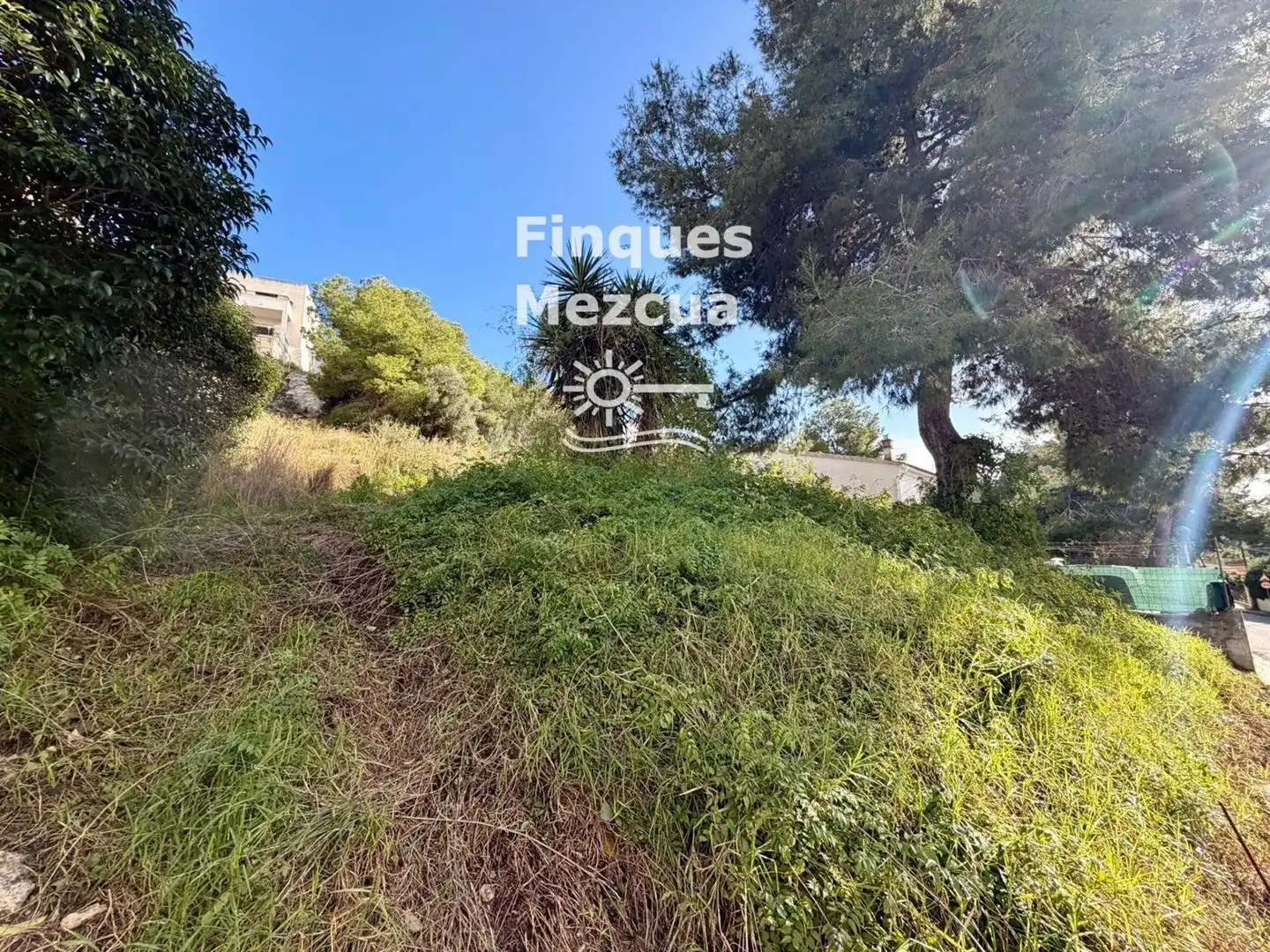 Terreno rustico in vendita a Torre Dels Escipions, imagen 2
