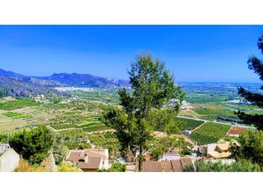 Terreno residenziale in vendita a Calle Salze