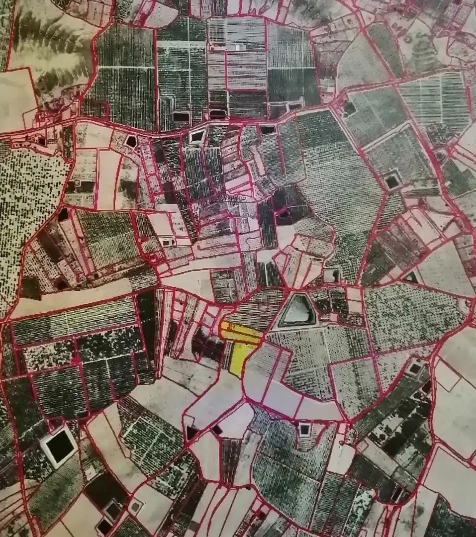 Land for sale in Ojós