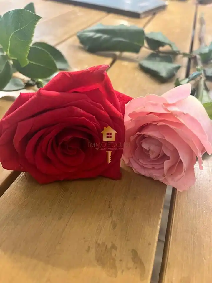 Piso de alquiler en Roses con Aire acondicionado, Terraza y Trastero