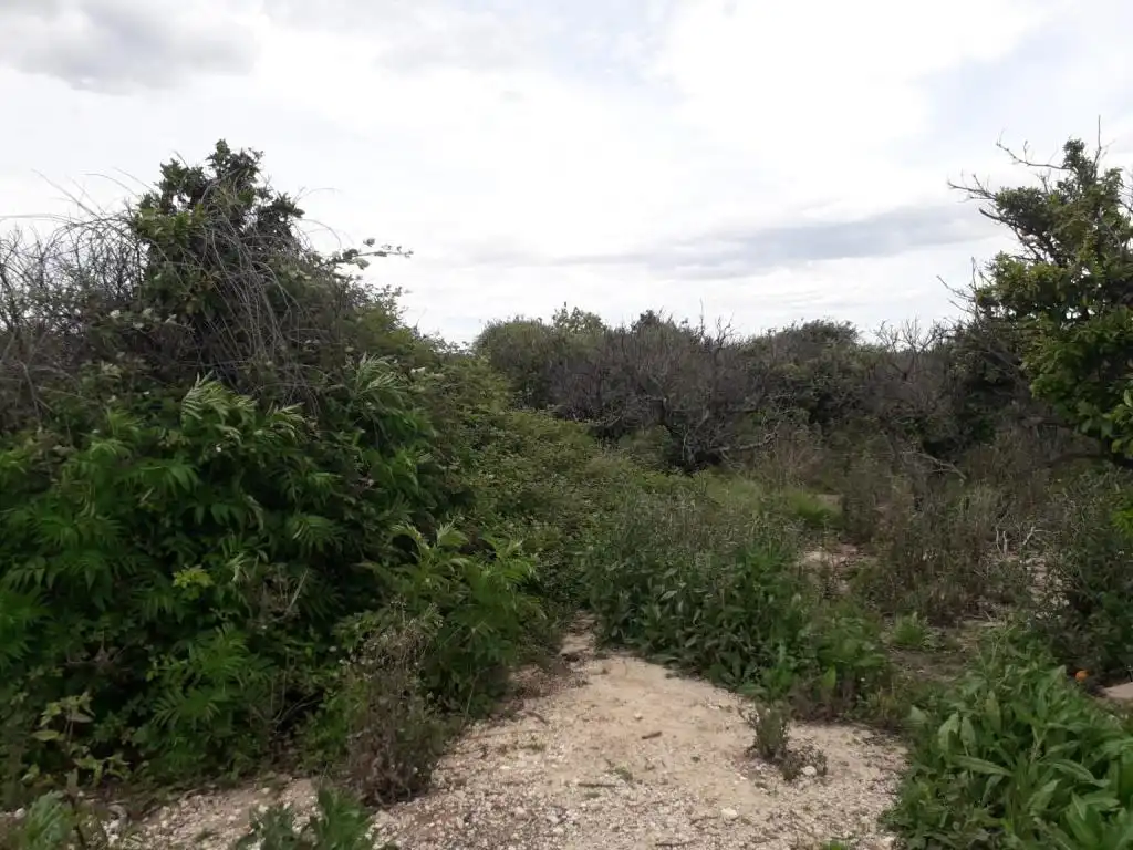Terrain rustique à vendre à FONDOS, imagen 7