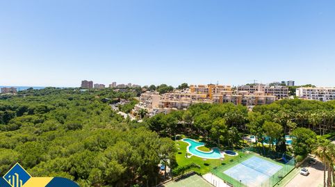 Foto 5 de Piso en venta en Campoamor, Orihuela