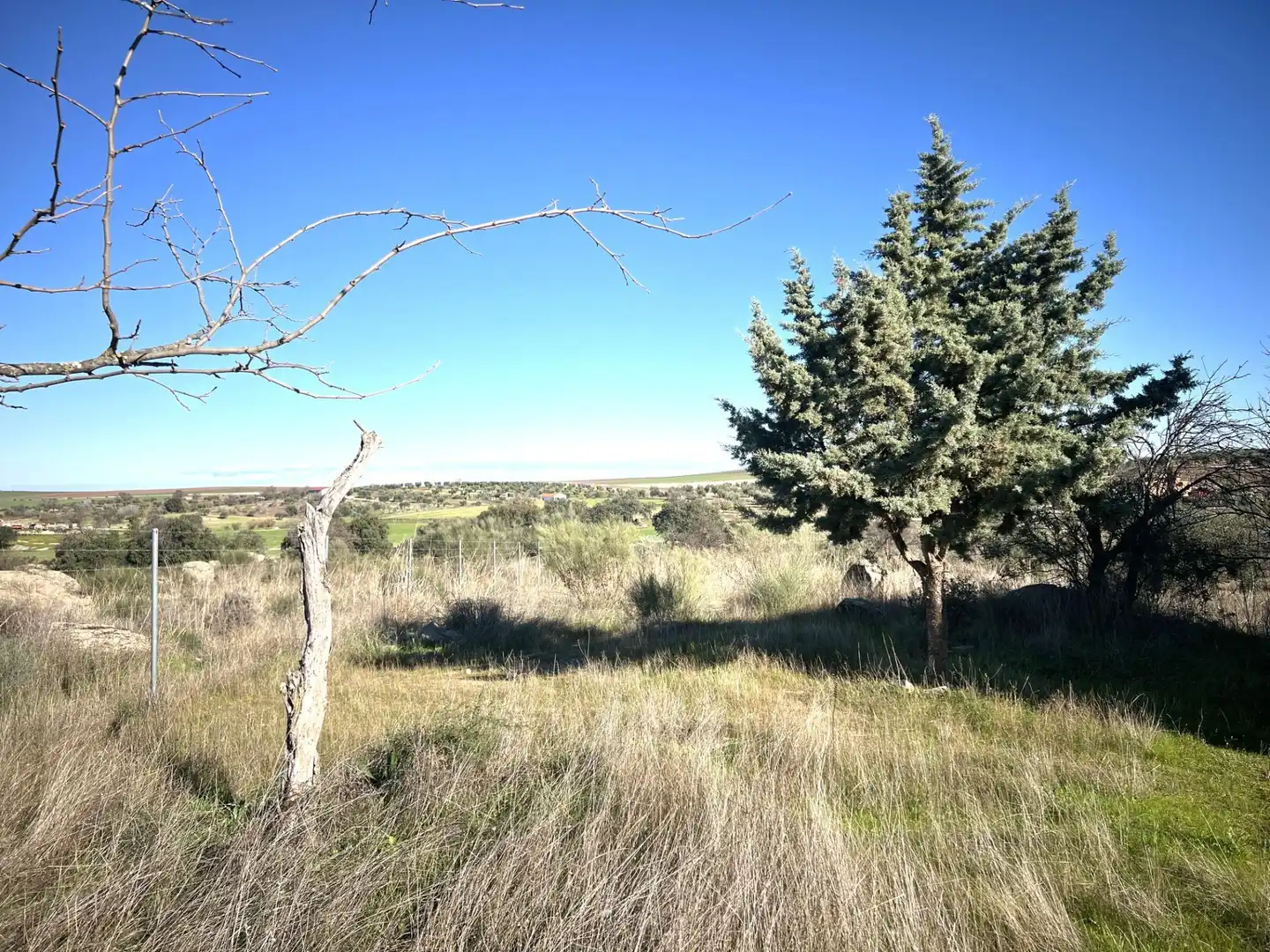 Chalet en venta en Camino Polígono 12 Parcela 105 PAJON. LA HABA (BADAJOZ), imagen 15
